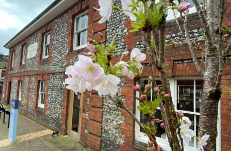 Front of Petersfield Museum and Art Gallery with tree in blossom.