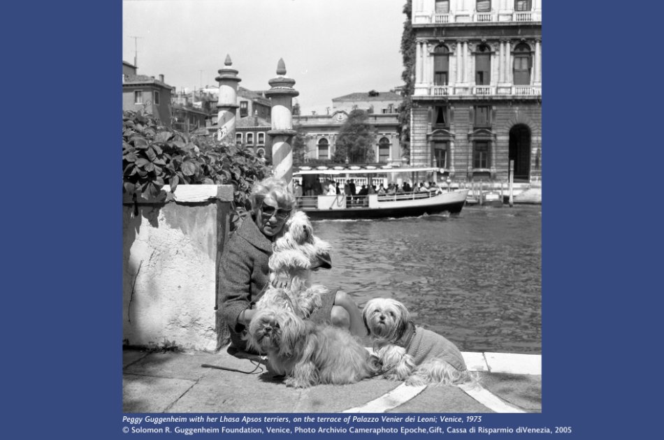 Peggy Guggenheim with her Lhasa Apsos terriers, on the terrace of Palazzo Venier dei Leoni; Venice, 1973.