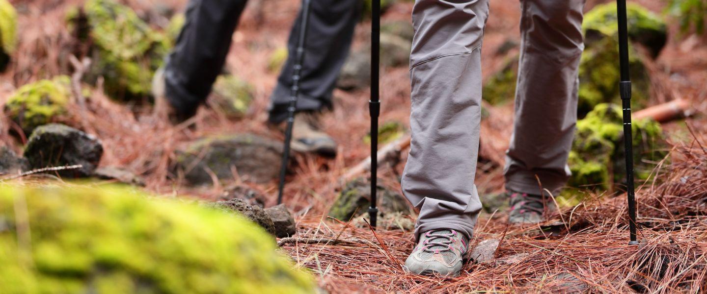 Two pairs of feet walking through a wooded area with walking sticks.