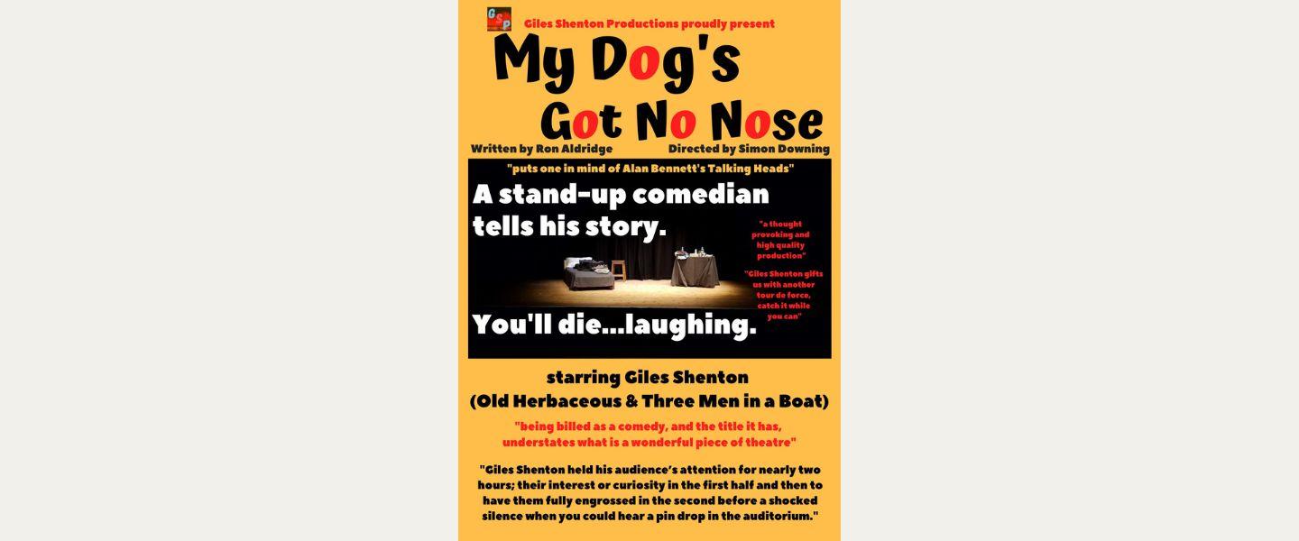 Show poster for My Dogs Got No Nose